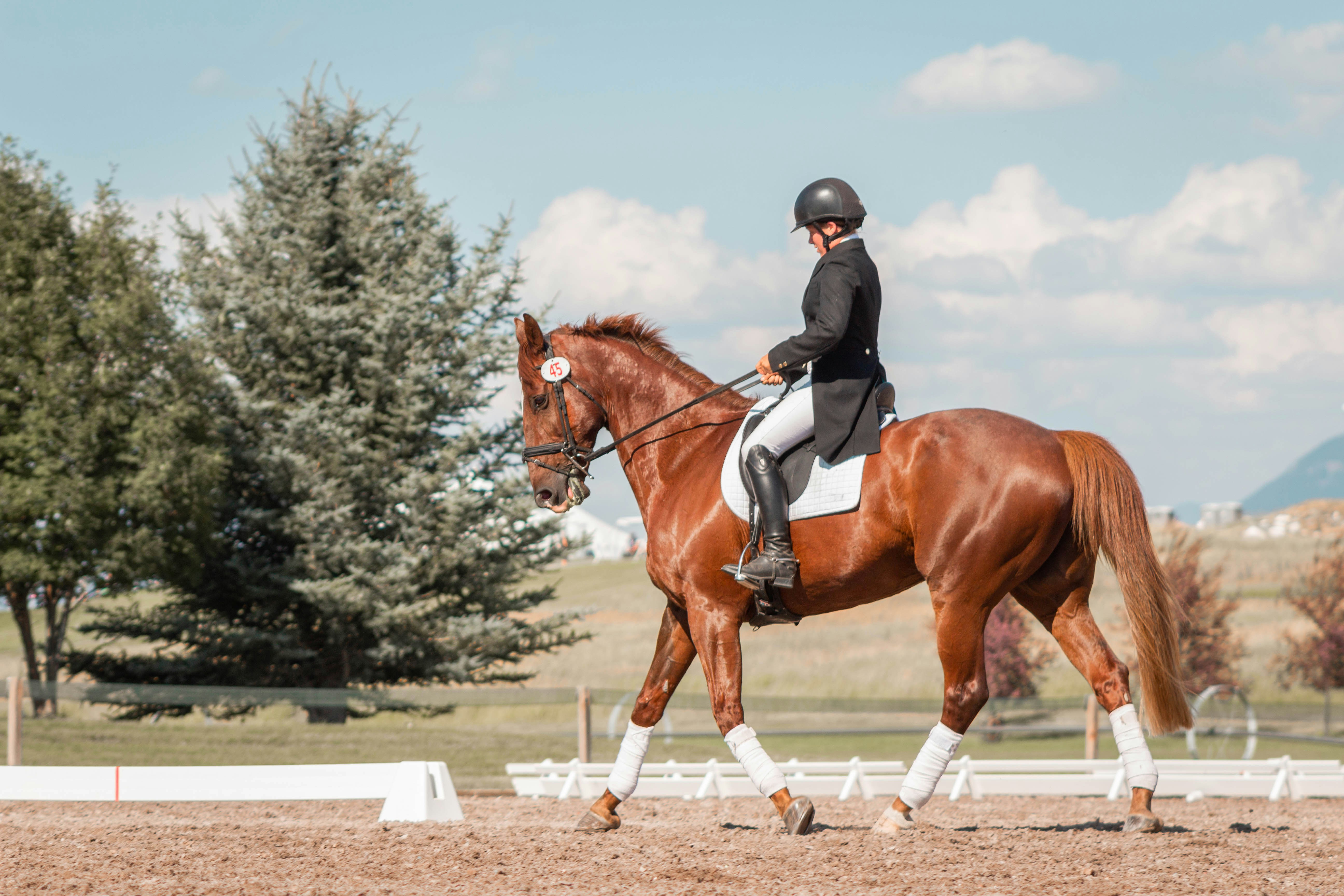 Horse rider in Wellington, Florida — the equestrian capital of the world